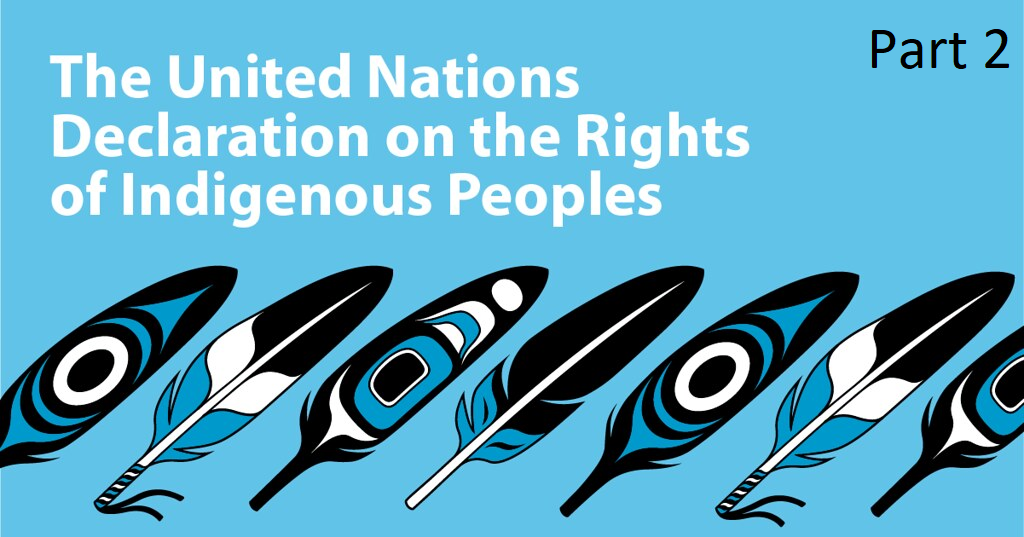 The B.C. and UNDRIP Controversy – Your Fundamental Rights – Part 2
